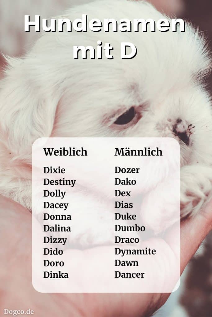 Hundenamen Mit D Mnnlich